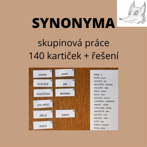 zkušenosti synonymum|Synonymum k zkušenost 